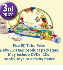 3rd prize