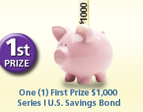 1st prize