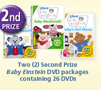 2nd prize