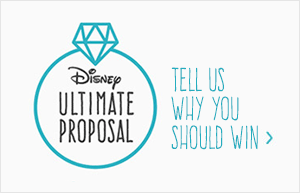 Tell us why you should win the ultimate proposal