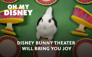 Disney Bunny Theater Will Bring You Joy