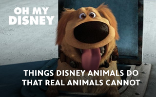 Things Disney Animals Do That Real Animals Cannot 