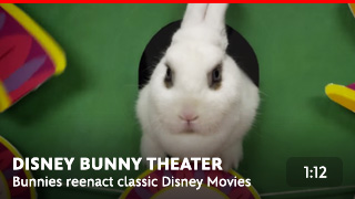 Disney Bunny Theater
