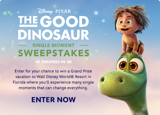 Enter for your chance to win a Grand Prize vacation to Walt Disney World® Resort in Florida