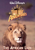The African Lion