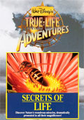 Secrets of Life