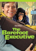 The Barefoot Executive