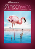 Disneynature: The Crimson Wing - Mystery of the Flamingos