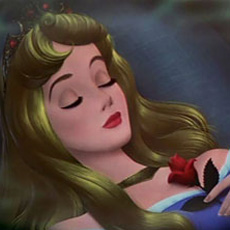Sleeping+beauty+disney+world