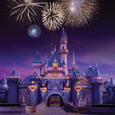 Life Without Walt!