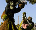 Discover surprising facts about the Epcot International Flower & Garden Festival