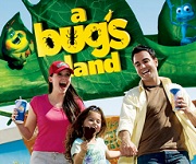 Meet the Beetles