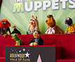 The Muppets 