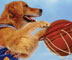 Air Bud