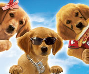 Air Buddies | Movies | History | Disney Insider