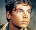 Johnny Tremain