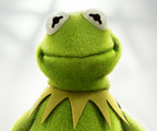Disney Insider Blog | News | Disney Insider