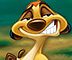 Walt Disney World Special Offer 