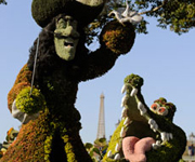 Planting a Little Pixie Dust