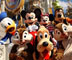 Thankful at Walt Disney World
