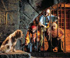 Halloween at Disney World | Fans Insider | Disney