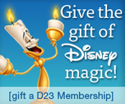 D23