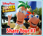 Disney Parks Summer to Remember