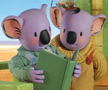 The Koala Brothers