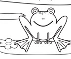 Frog Coloring Page