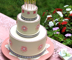 Sleeping Beauty Birthday Party