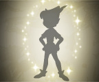Follow Peter Pan's shadow for a special surprise!