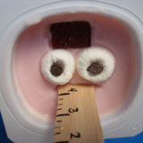 Stretch's Frozen Yogurt Pops