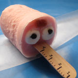 Stretch's Frozen Yogurt Pops