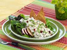 Whirly Bird's Apple and Chicken Salad with Pita Crisps Whirly Bird's Apple and Chicken Salad with Pita Crisps