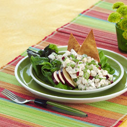 Whirly Bird's Apple and Chicken Salad with Pita Crisps 