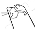 S is for Sea Lion