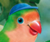 Third and Bird Videos