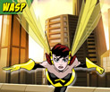 Wasp