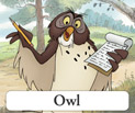 Owl