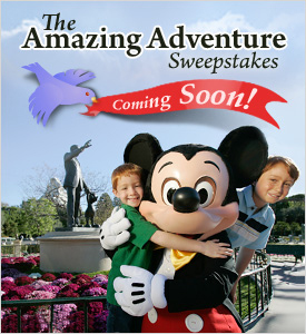 The Amazing Adventure Sweepstakes - Coming Soon!