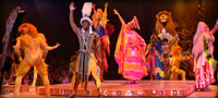Festival Of The Lion King