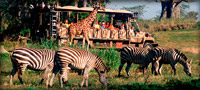 Kilimanjaro Safaris