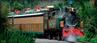 Wildlife Exress Train