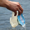 Algalita Marine Research Foundation
