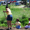 The Jane Goodall Institute