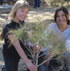 San Bernardino National Forest Association