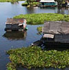 Conservation International