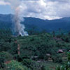 BirdLife International and the Haribon Foundation