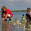 The Nature Conservancy