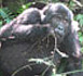 ECOLIFE Foundation